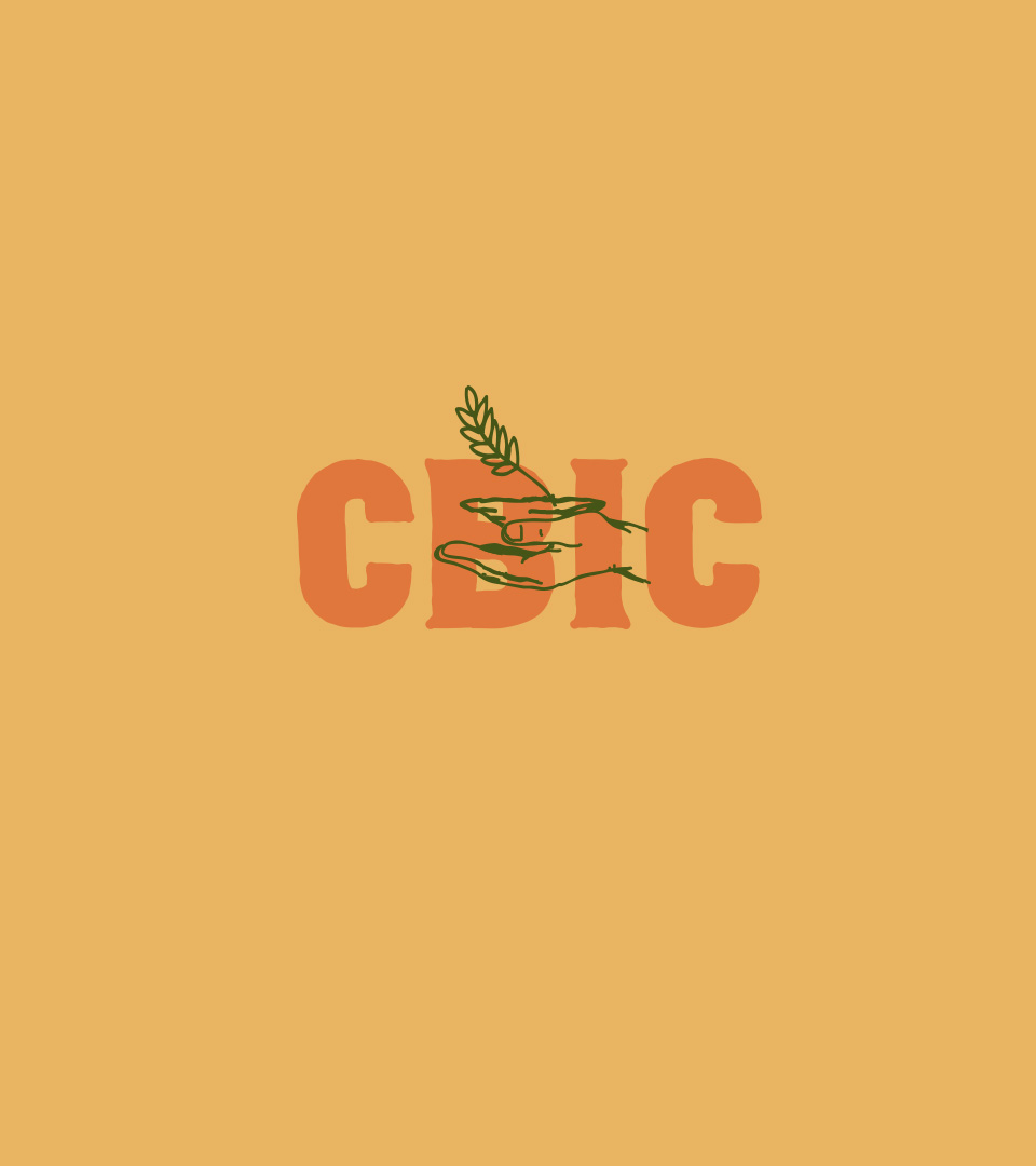 CBIC-Cases2021-10