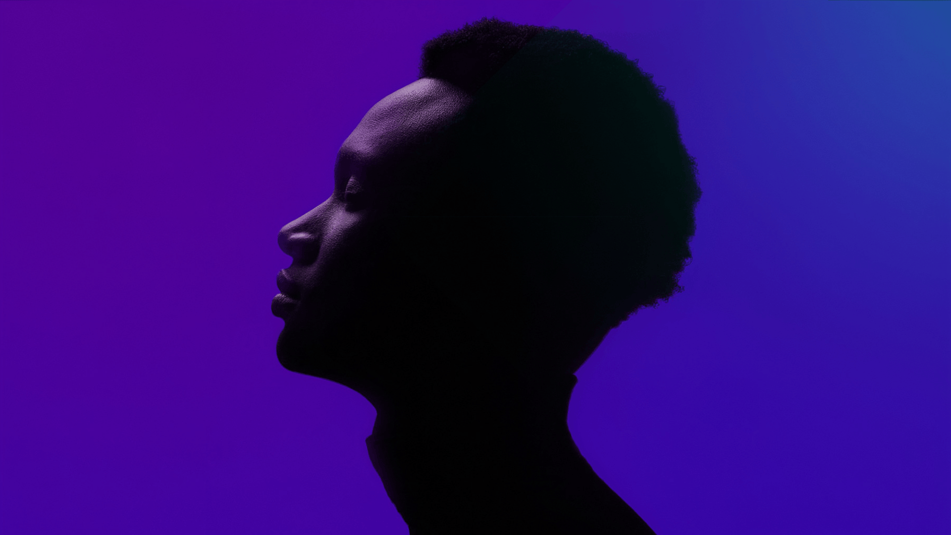 Predactiv - Brand Identity